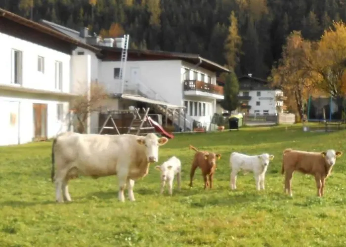 Ferienhaus Dankl By Interhome